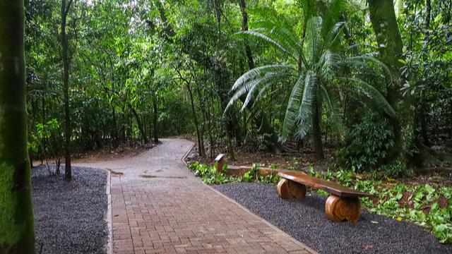 Veja fotos de como ficou a nova gruta do Parque do Ingá 