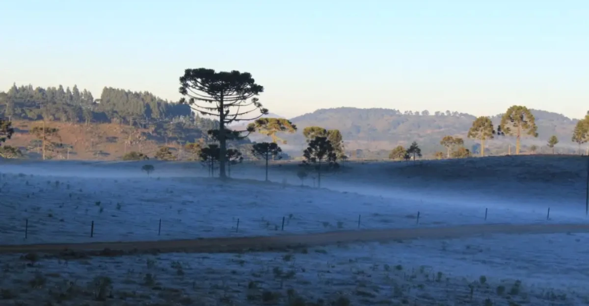 Saiba quando termina a onda de frio no Paraná