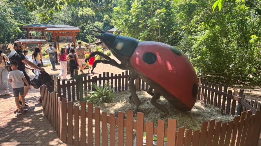 Veja fotos da exposição “Primavera Encantada: Natureza Gigante” 