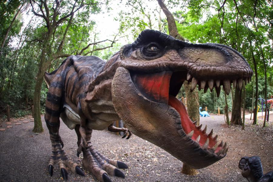 Adeus aos dinossauros: veja fotos da exposição ‘Jurássico Condor’ 