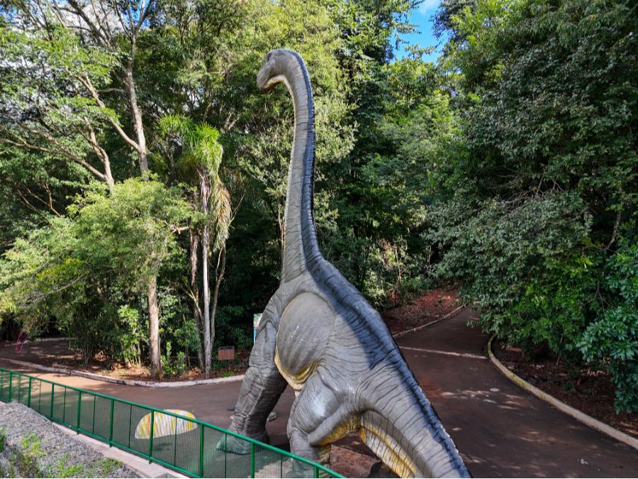 Adeus aos dinossauros: veja fotos da exposição ‘Jurássico Condor’ 