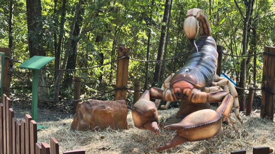 Veja fotos da exposição “Primavera Encantada: Natureza Gigante” 