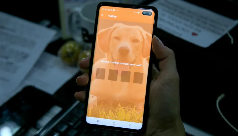 Na imagem, um close no celular que acessa a página inicial do aplicativo Petis. O layout é laranja com a foto de um cachorro da raça labrador ao fundo.
