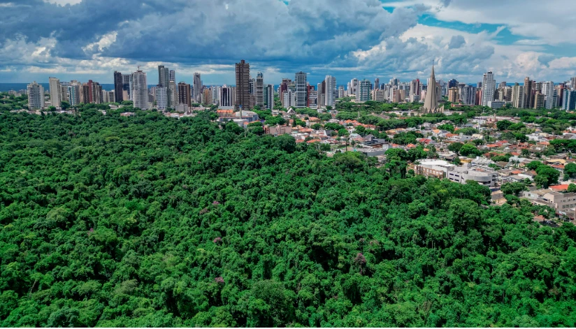 Prazo de solicitação do IPTU Verde para 2026 vai até 14 de agosto