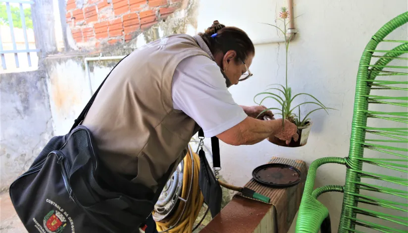 Mutirões de combate à dengue serão realizados nos bairros de Maringá todo sábado