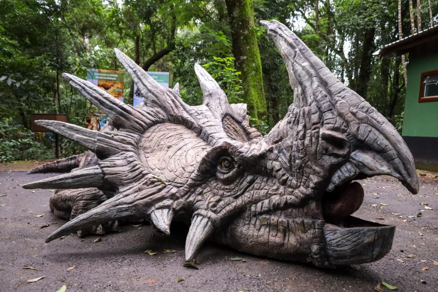 Adeus aos dinossauros: veja fotos da exposição ‘Jurássico Condor’ 