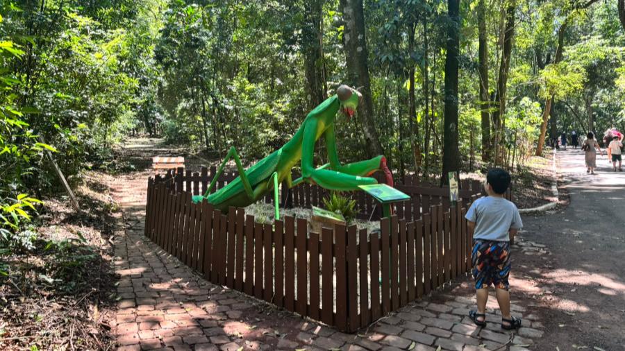 Veja fotos da exposição “Primavera Encantada: Natureza Gigante” 