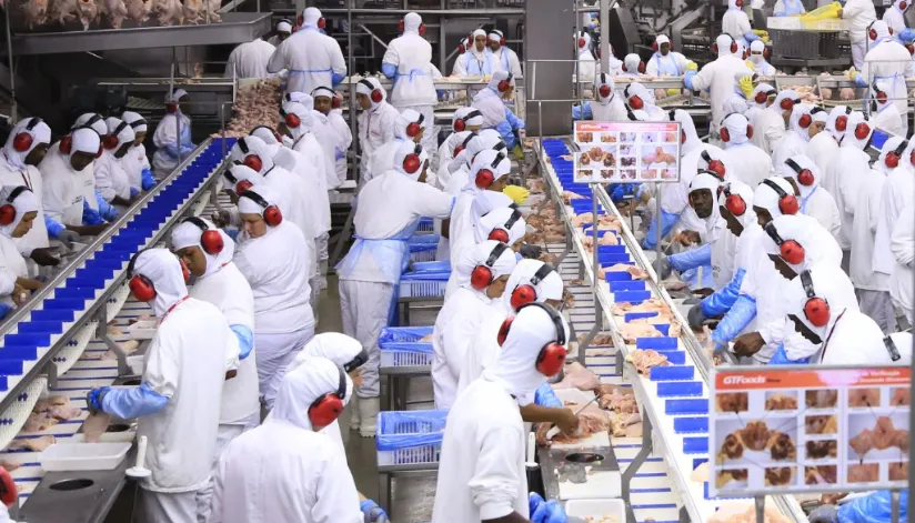 Há vagas: Gtfoods Group contrata profissionais com e sem experiência Há vagas: Gtfoods Group contrata profissionais com e sem experiência