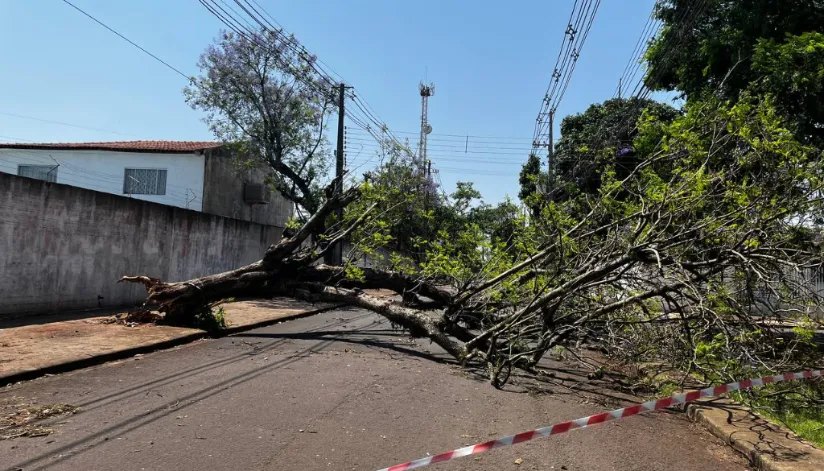 Seis dias após estragos causados pela tempestade, 570 domicílios seguem sem energia em Maringá
