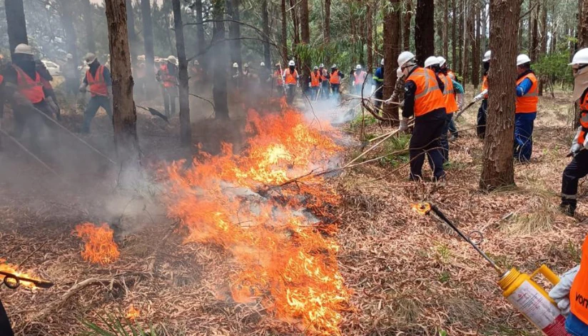 Incêndios florestais caem 50% em agosto, mas tempo seco em setembro preocupa