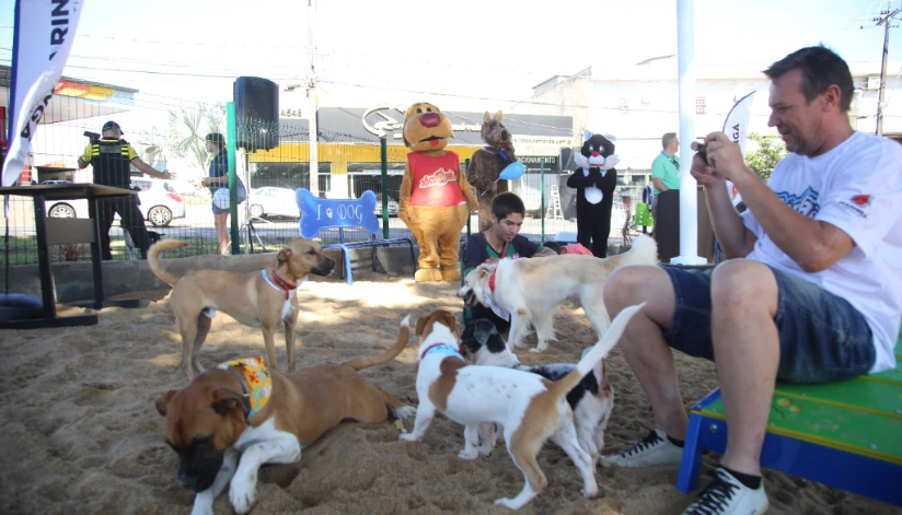 Maringá terá ‘Semana dos Animais’ com ações educativas, feira de adoção e vacinação de pets