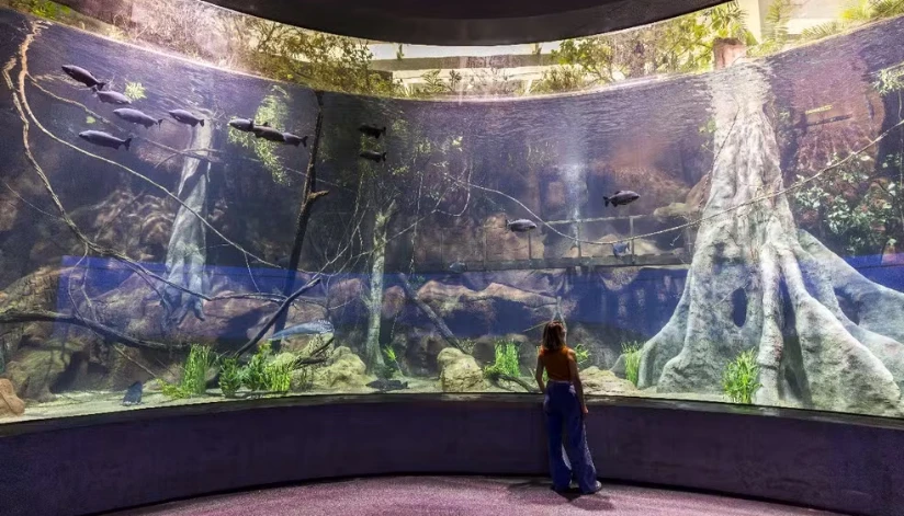 Novo aquário, com tanques gigantes e peixes raros, é inaugurado em Foz do Iguaçu