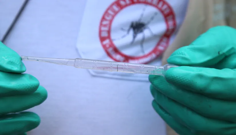 Boletim epidemiológico aponta 2,9 mil novos casos de dengue no Paraná