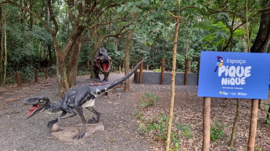 Adeus aos dinossauros: veja fotos da exposição ‘Jurássico Condor’ 