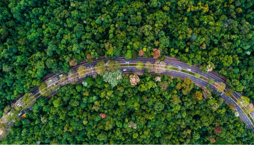 ‘Semana do Meio Ambiente’ é realizada em Maringá entre 5 e 9 de junho; confira a programação