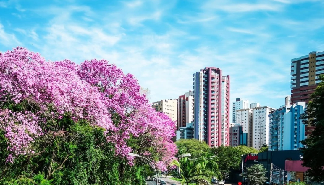 Final de semana será de temperaturas amenas e ensolarado, em Maringá Final de semana será de temperaturas amenas e ensolarado, em Maringá