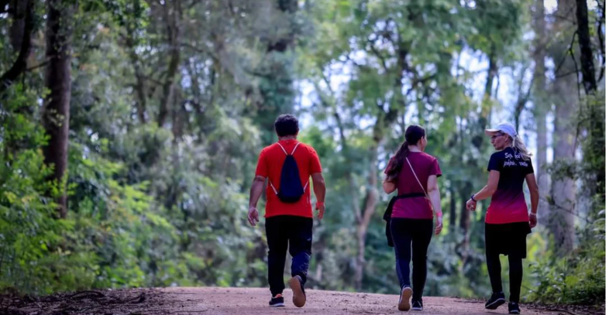 Caminhadas na Natureza: confira a programação de junho no Paraná