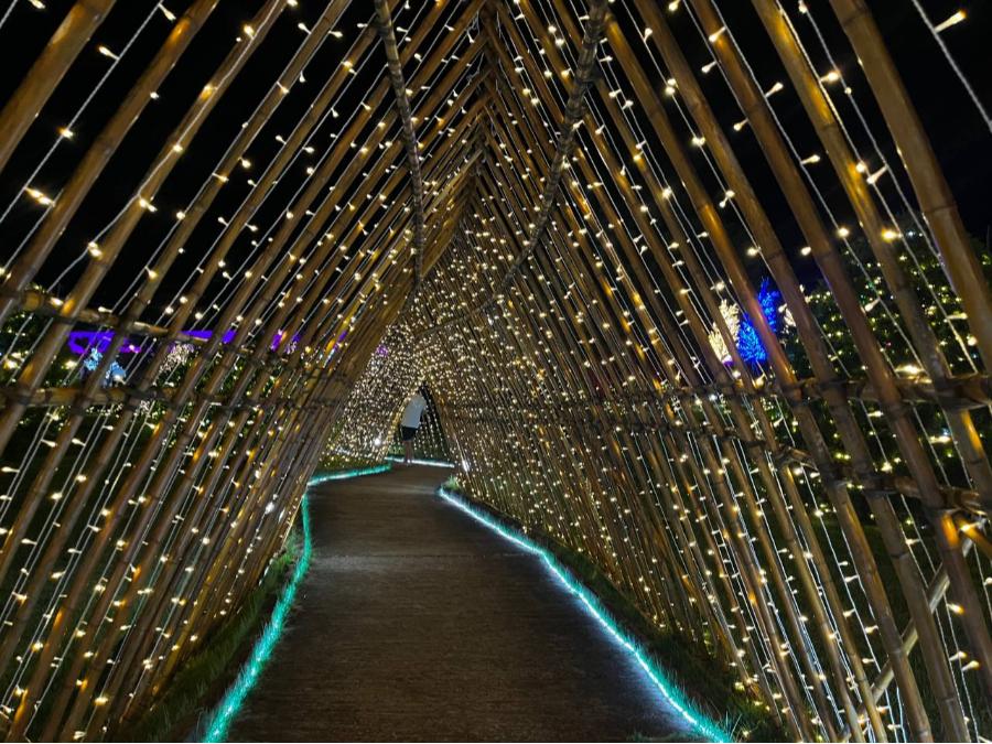 Decorações da Maringá Encantada iluminam o Centro e o Parque do Japão; veja fotos 