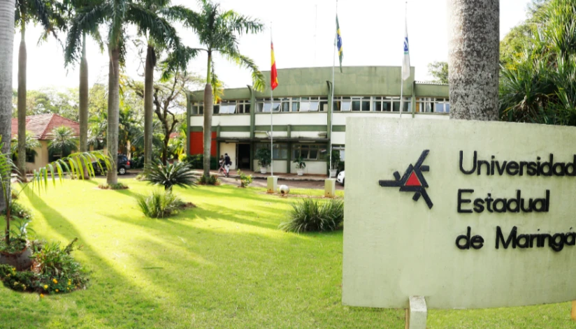 Cursos da UEM conquistam classificação cinco estrelas do Guia da ...