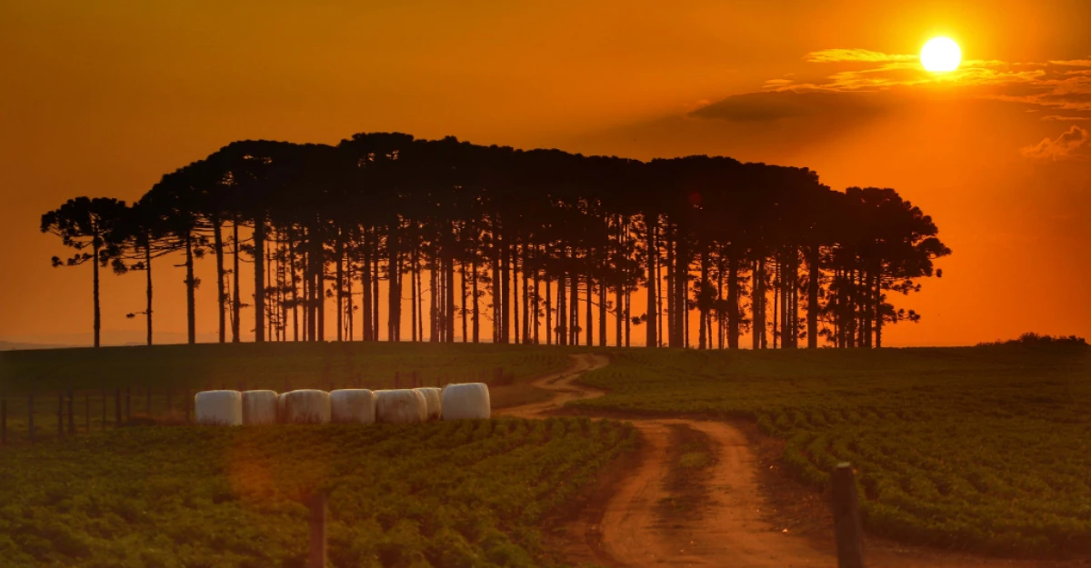 Por que o céu fica laranja no outono e inverno? Entenda o fenômeno