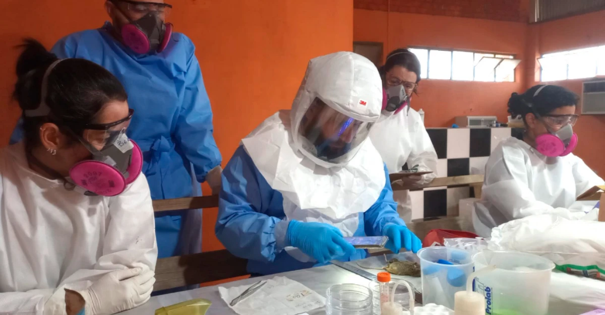 Sesa reforça que mantém vigilância rigorosa contra hantavirose no Paraná