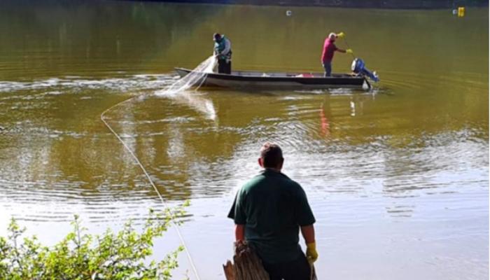 Pesquisadores da UEM atuam na recuperação do lago do Parque do Ingá