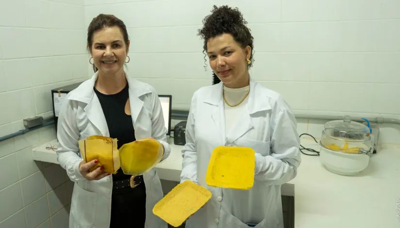 Pesquisadora da UEM transforma macaúba em embalagens biodegradáveis