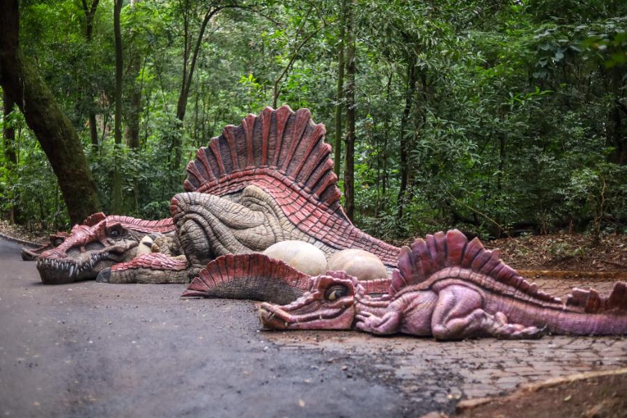 Adeus aos dinossauros: veja fotos da exposição ‘Jurássico Condor’ 