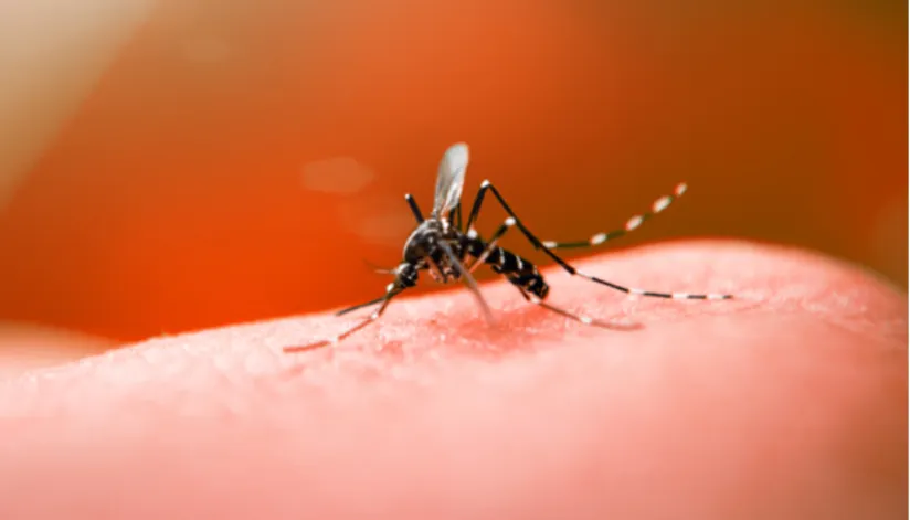 UBS de Maringá será exclusiva para sintomas leves de dengue a partir de abril