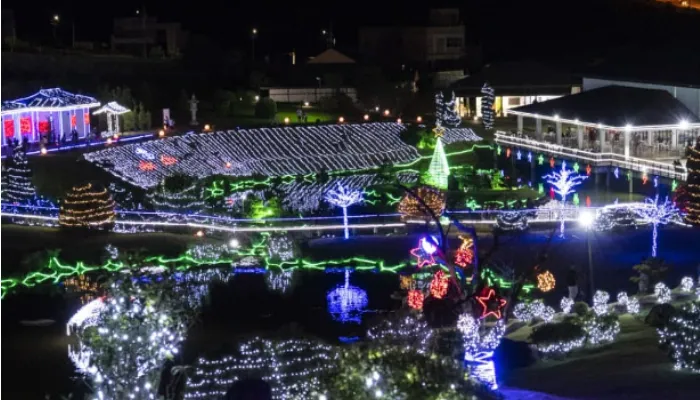 Luzes de Natal encantam o Parque do Japão; veja fotos 