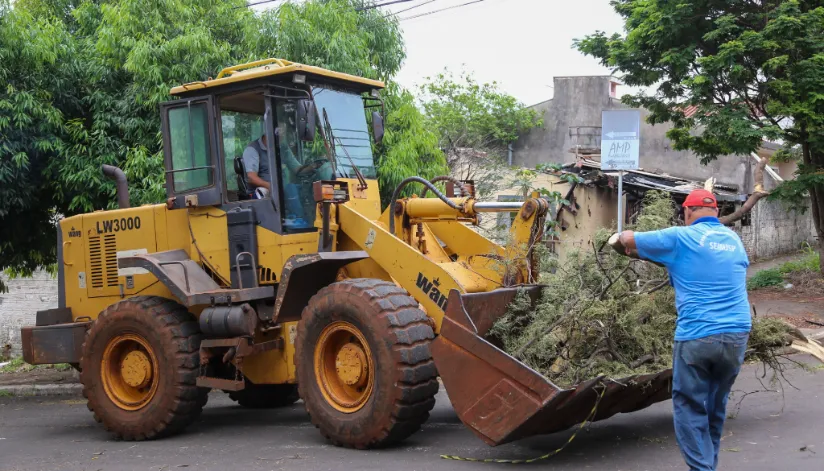 Mais de 800 toneladas de galhos e troncos de árvores foram recolhidos das vias de Maringá