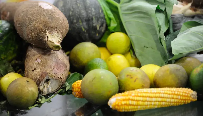 Cerca de 25% dos alimentos de origem vegetal no Brasil têm resíduos de agrotóxicos