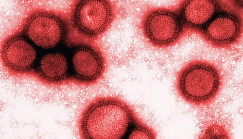 Paraná declara fim da epidemia de H3N2; vacinação contra a gripe tem início no dia 4 de abril