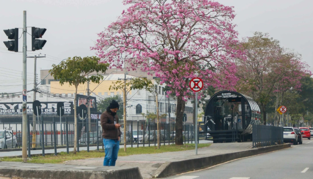 Confira quais cidades do Paraná registraram temperaturas negativas nesta sexta (30) Confira quais cidades do Paraná registraram temperaturas negativas nesta sexta (30)