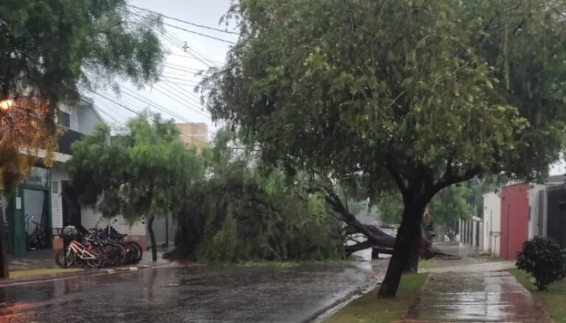 Tempestade causa estragos e deixa cerca de 3 mil imóveis sem energia em Maringá