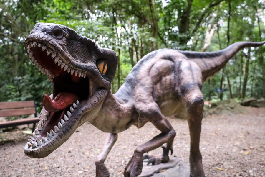 Adeus aos dinossauros: veja fotos da exposição ‘Jurássico Condor’ 