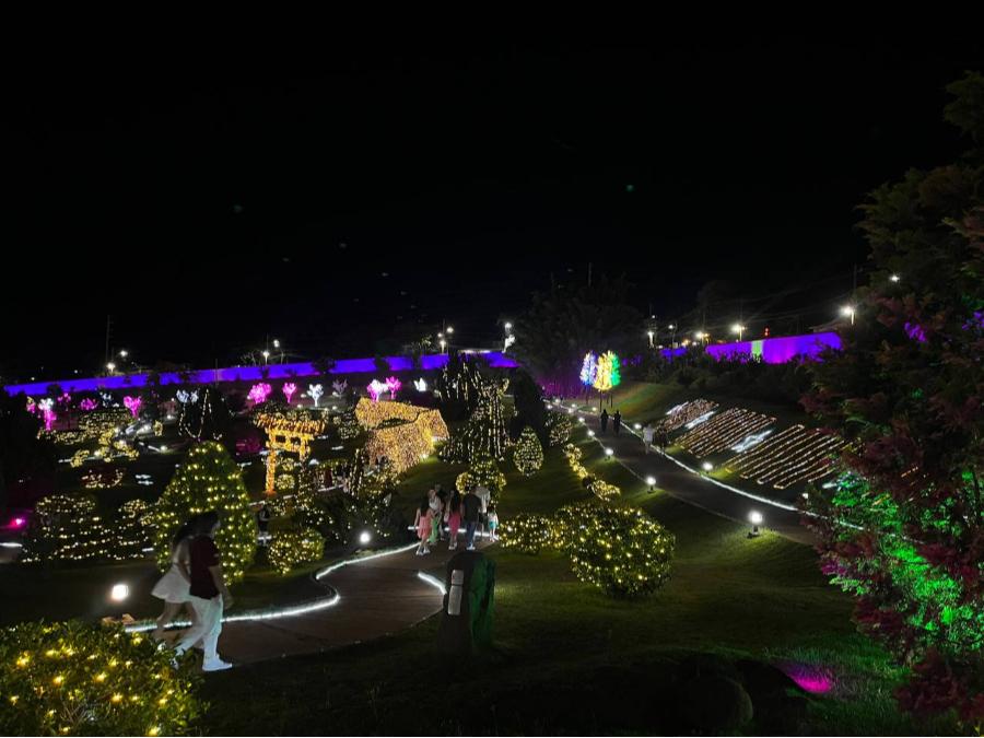 Decorações da Maringá Encantada iluminam o Centro e o Parque do Japão; veja fotos 
