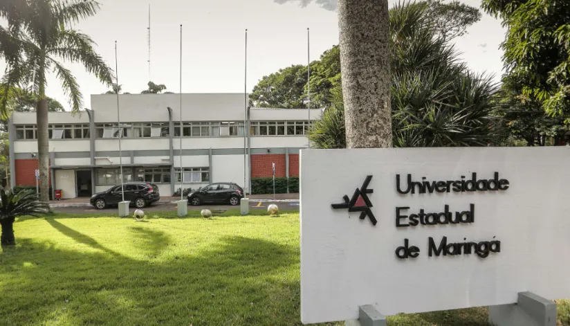 UEM é destaque em ranking de publicações científicas