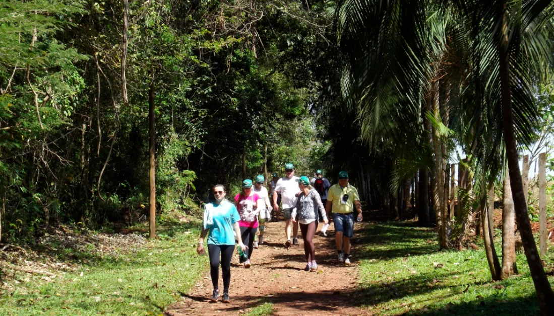 Caminhadas na Natureza: confira a programação de junho no Paraná Caminhadas na Natureza: confira a programação de junho no Paraná
