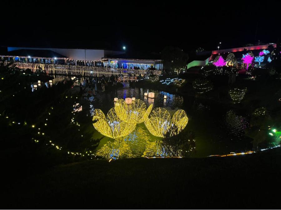 Decorações da Maringá Encantada iluminam o Centro e o Parque do Japão; veja fotos 