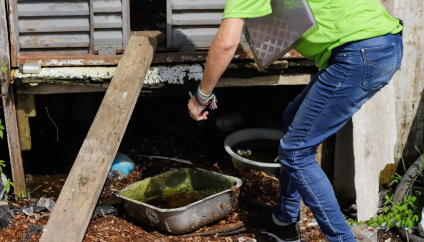 Em 2025, números de casos e mortes causadas pela dengue diminuíram mais de 80% no Paraná Em 2025, números de casos e mortes causadas pela dengue diminuíram mais de 80% no Paraná