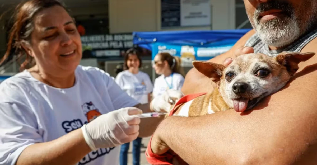 Programa Vet-Móvel vai realizar atendimentos veterinários gratuitos em municípios do Paraná