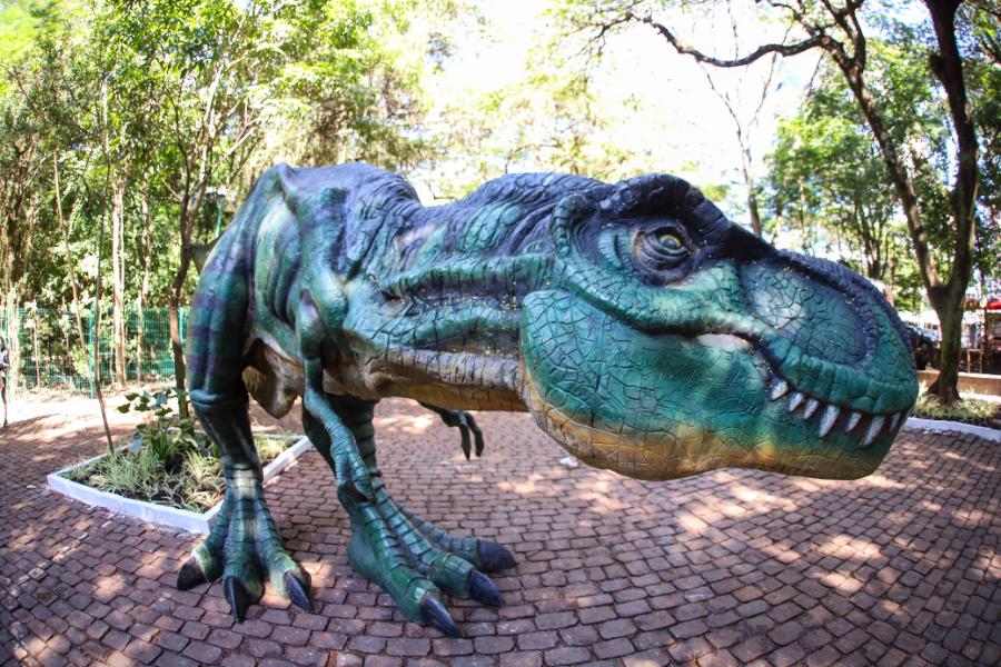 Adeus aos dinossauros: veja fotos da exposição ‘Jurássico Condor’ 